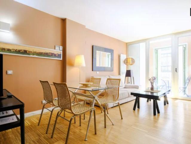 2 bedroom apartment for rent in Embajadores, pets allowed