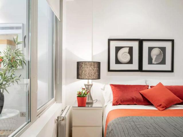 2 bedroom apartment for rent in Embajadores, pets allowed, professionals