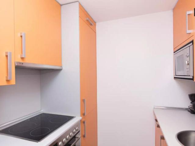 2 bedroom apartment for rent in Embajadores, pets allowed, smoking allowed