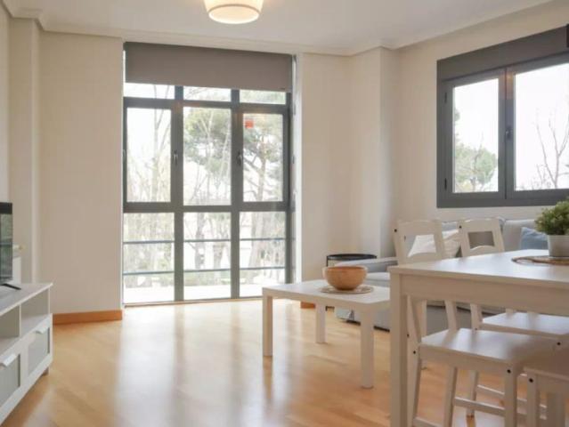 2 bedroom apartment for rent in Puerta Bonita