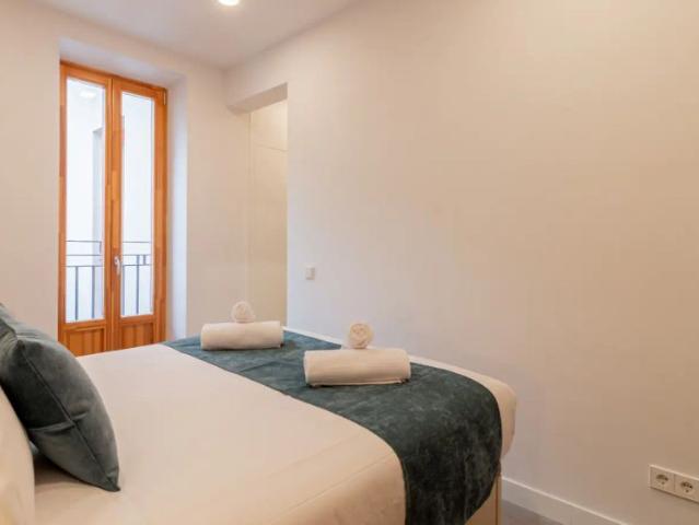 2 bedroom apartment for rent in Palacio, non smoking
