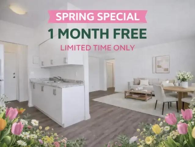 2 Bedroom Apartment Hamilton ON LS102113738