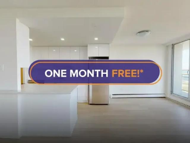 2 Bedroom Apartment Hamilton ON 101474700