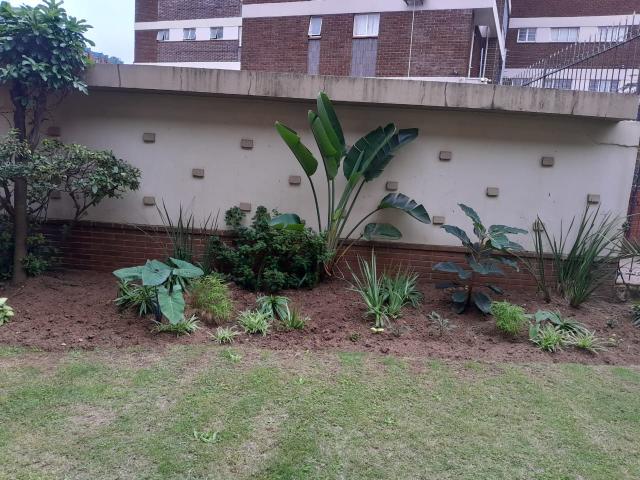 2 Bedroom Apartment in Musgrave