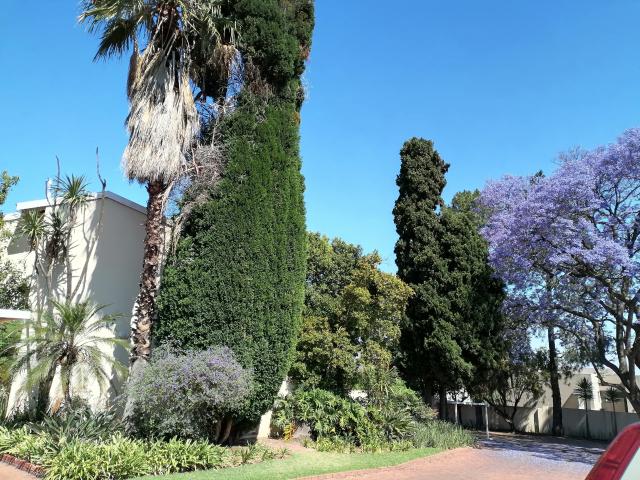 2 Bedroom Apartment in Morningside