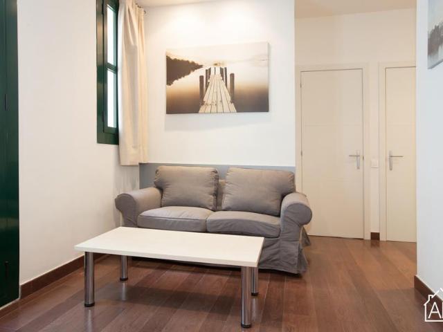 2 Bedroom Apartment in Barcelona´s Historic Centre