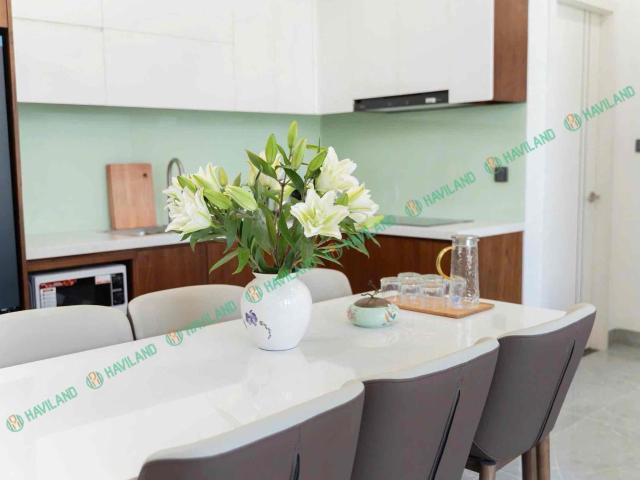 2 BEDROOM APARTMENT IN HAI CHAU ROLLING TON