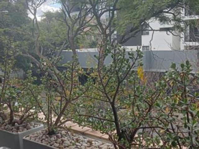 2 Bedroom Apartment in Rosebank