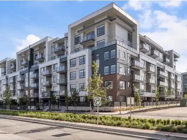 2 Bedroom Apartment Langley BC 104224681
