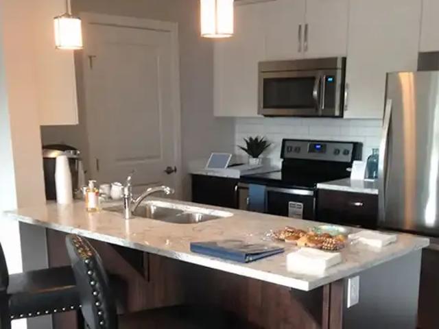 2 Bedroom Apartment Langley BC LS101825691