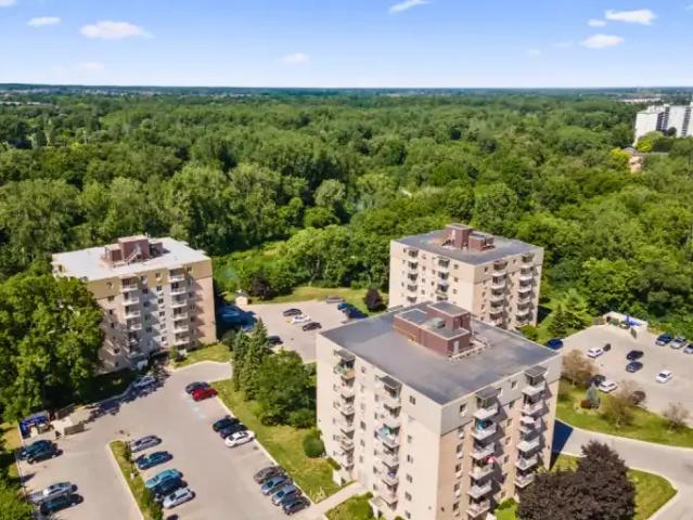 2 Bedroom Apartment London ON 97702854