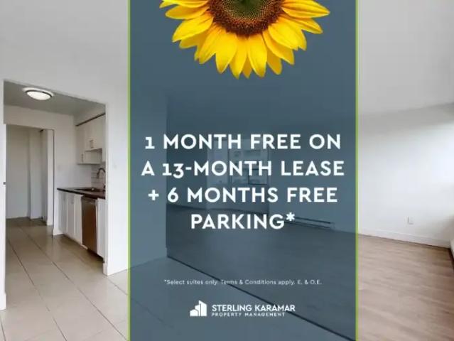 2 Bedroom Apartment London ON 104956647