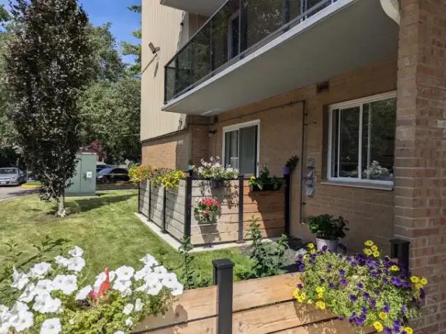 2 Bedroom Apartment London ON LS102052370
