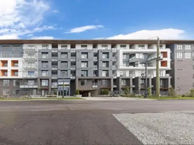 2 Bedroom Apartment Surrey BC 104067112
