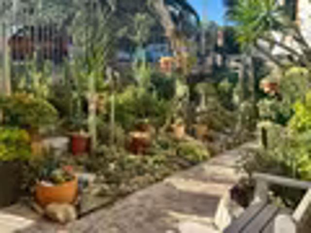 2 Bedroom Apartment Tamboerskloof Tamboerskloof 103687275