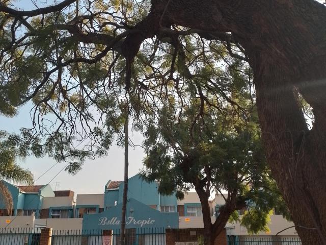 2 Bedroom Apartment To Let in Pretoria North