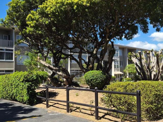2 Bedroom apartment to rent in Claremont, Cape Town