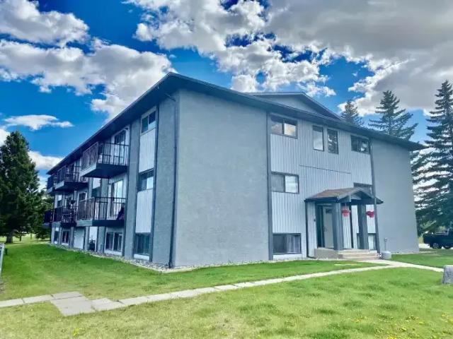 2 Bedroom Apartment Vulcan AB 101827622