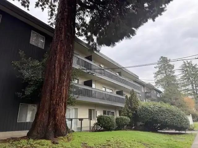 2 Bedroom Apartment Vancouver BC LS102811630