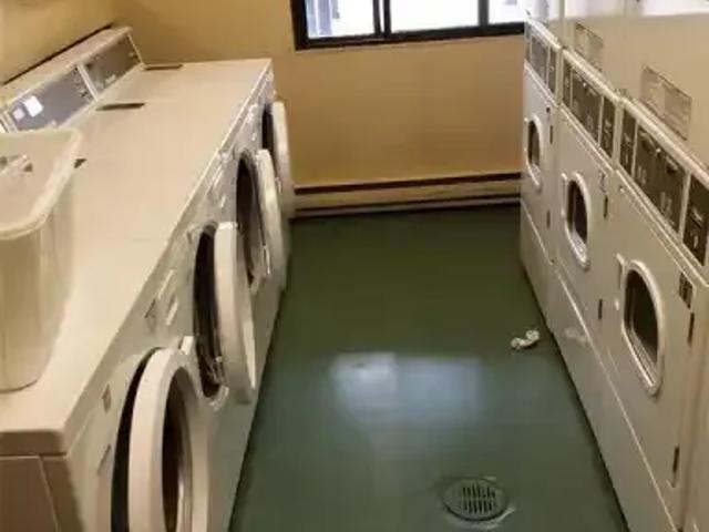 2 Bedroom Apartment Windsor ON LS102366590
