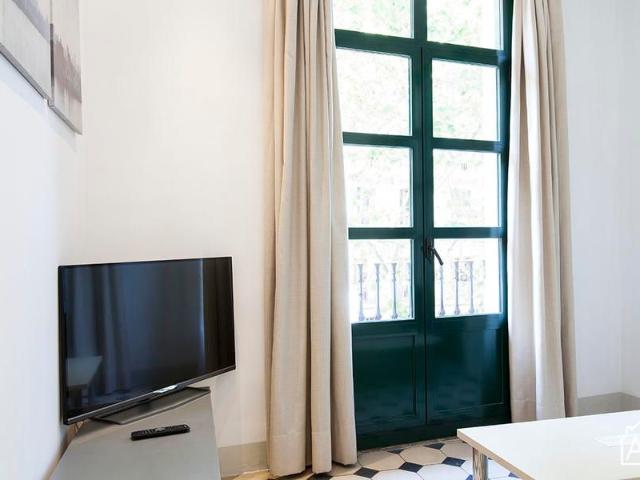 2 Bedroom Apartment with Views of Passeig del Born