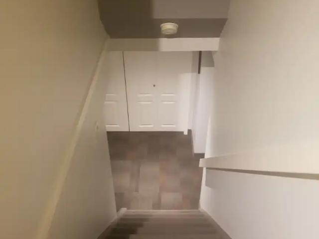 2 bedroom basement near southgate mall/LRT