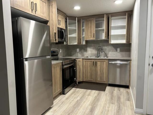 2 Bedroom Basement Suite