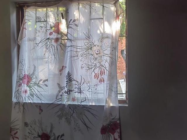 2 Bedroom Garden Cottage in Lotusville