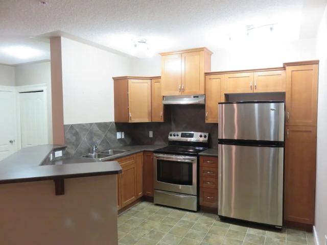 2 Bedroom Discovery Ridge Condo for Rent