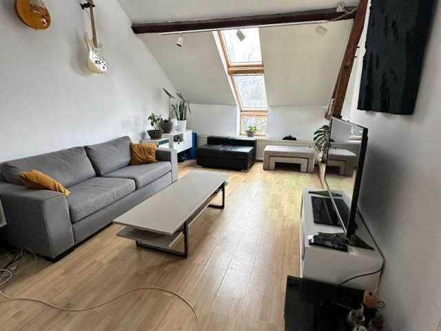 2 bedroom Duplex for rent to professionals in Ixelles