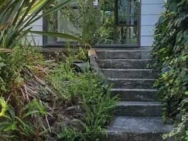 2 Bedroom Flat with beautiful trees in Kerikeri