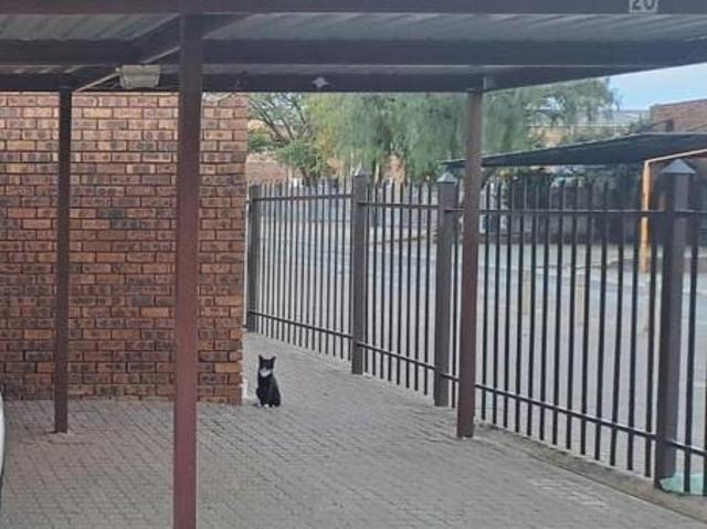 2 Bedroom Flat in Trichardt