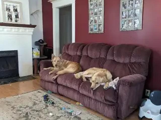 2 Bedroom House Edmonton AB LS100563817