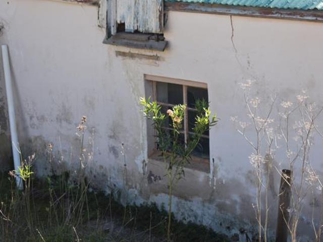 2 Bedroom House in Napier