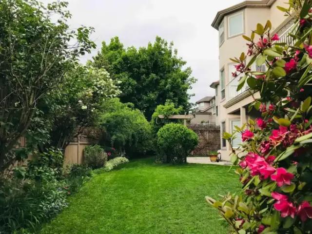 2 Bedroom House Surrey BC 102434509