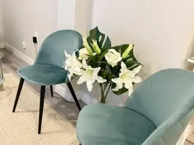 2 Bedroom House Richmond Hill ON LS98956436
