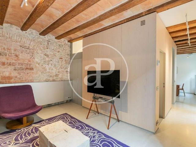Luxury Flat for rent in Barcelona, Catalonia