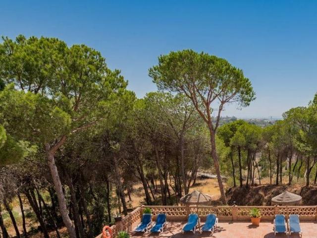 2 bedroom luxury Flat for rent in Nueva Andalucia, Andalusia
