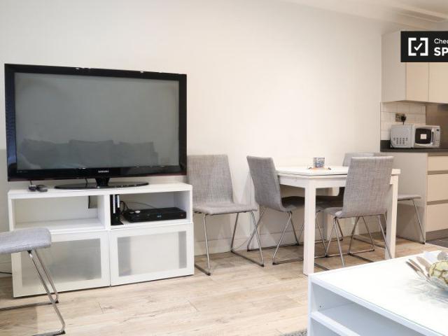 2 bedroom serviced apartment for rent in The Liberties