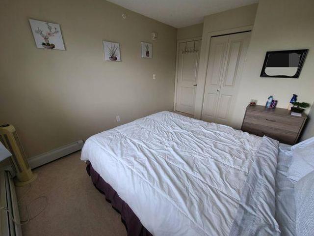 2 Bedroom Shared Living/roommate Edmonton AB 97417811