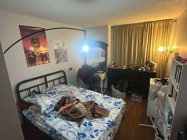 2 Bedroom Shared Living/roommate Halifax NS LS91232680