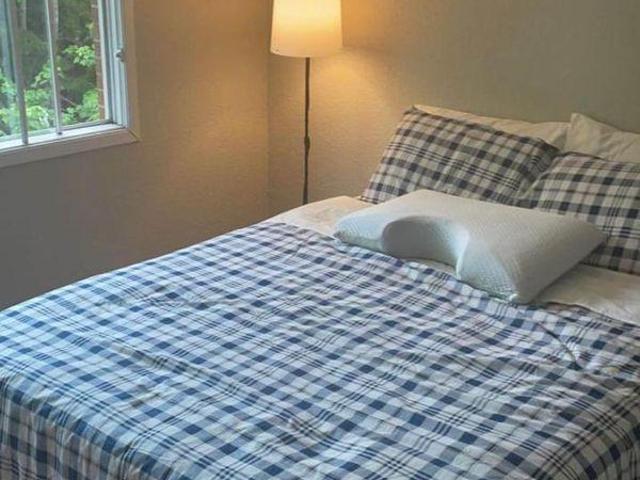 2 Bedroom Shared Living/roommate Halifax NS LS97417687
