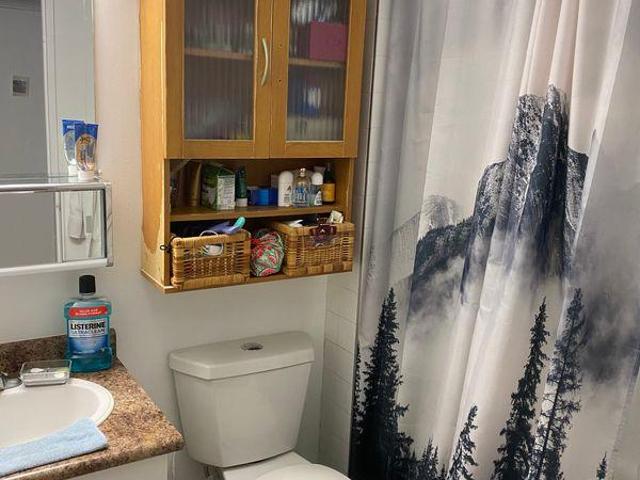 2 Bedroom Shared Living/roommate Toronto ON 96647778