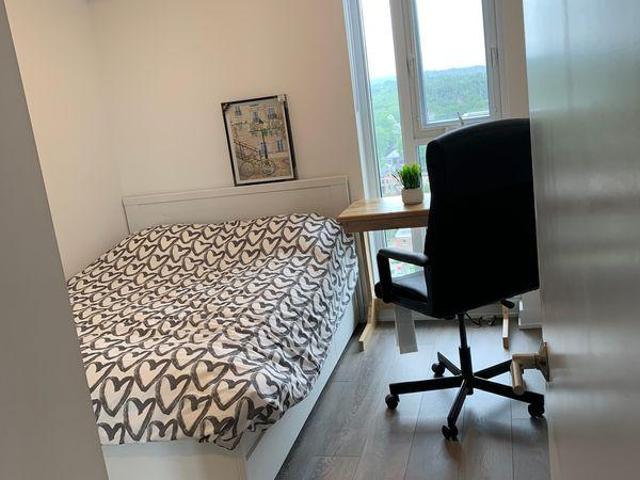 2 Bedroom Shared Living/roommate Toronto ON LS97416518