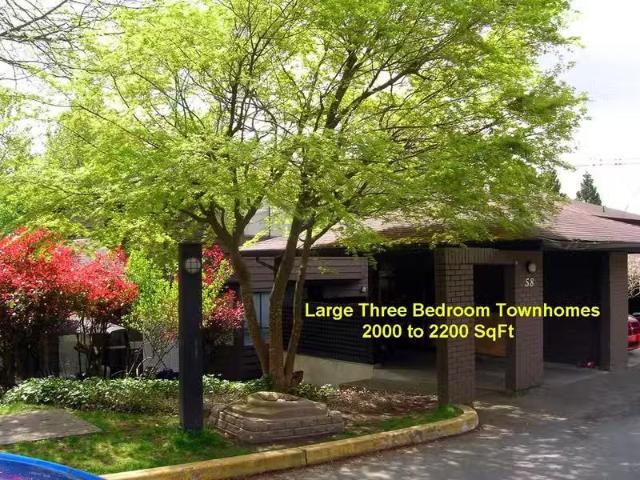 2 Bedroom plus Den Townhouse Crescentview Townhomes