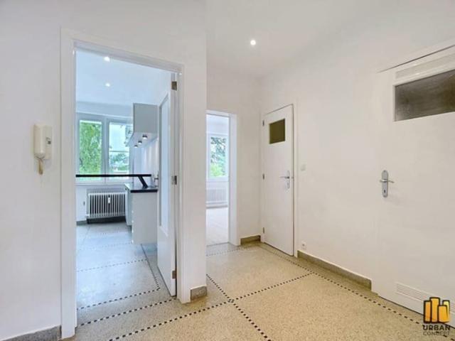 2 bedrooms apartment with terrace and cellar