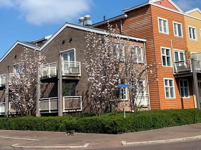 2 bedrooms Appartement Surface Area: 80m2