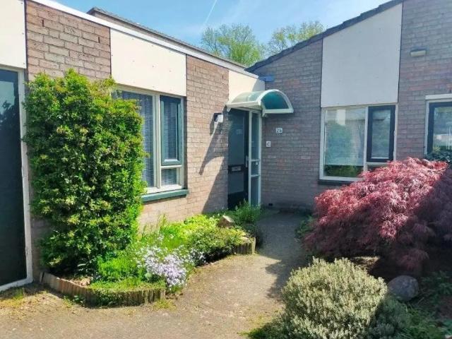 2 bedrooms Appartement Surface Area: 135m2