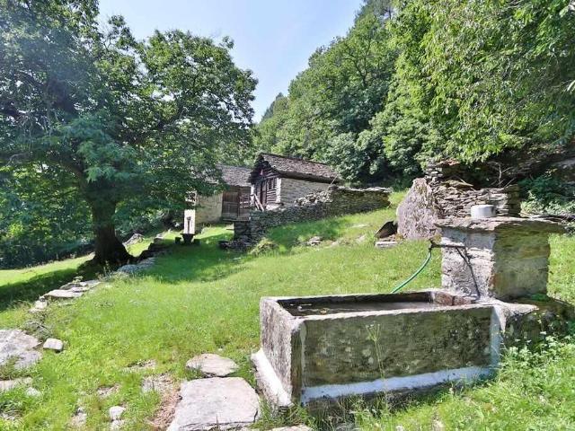 2 Bergrustici zum Ausbauen mit viel Land / due rustici da ristrutturare con tanto terreno | dreamo. Ch