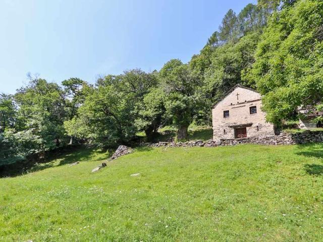 2 Bergrustici zum Ausbauen mit viel Land / two finca houses to renovate with lot of land